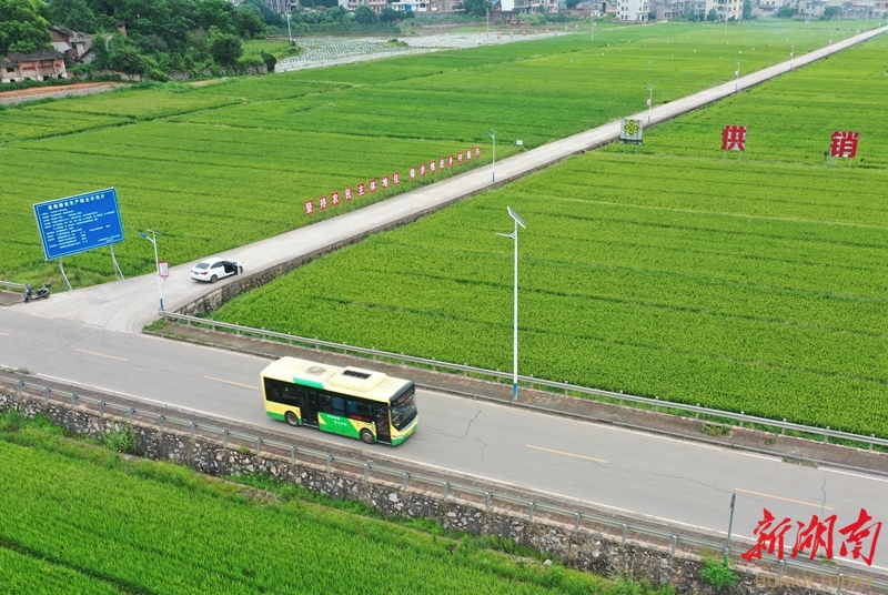 绿色公交惠民众