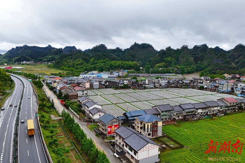 田园景新 乡村兴旺